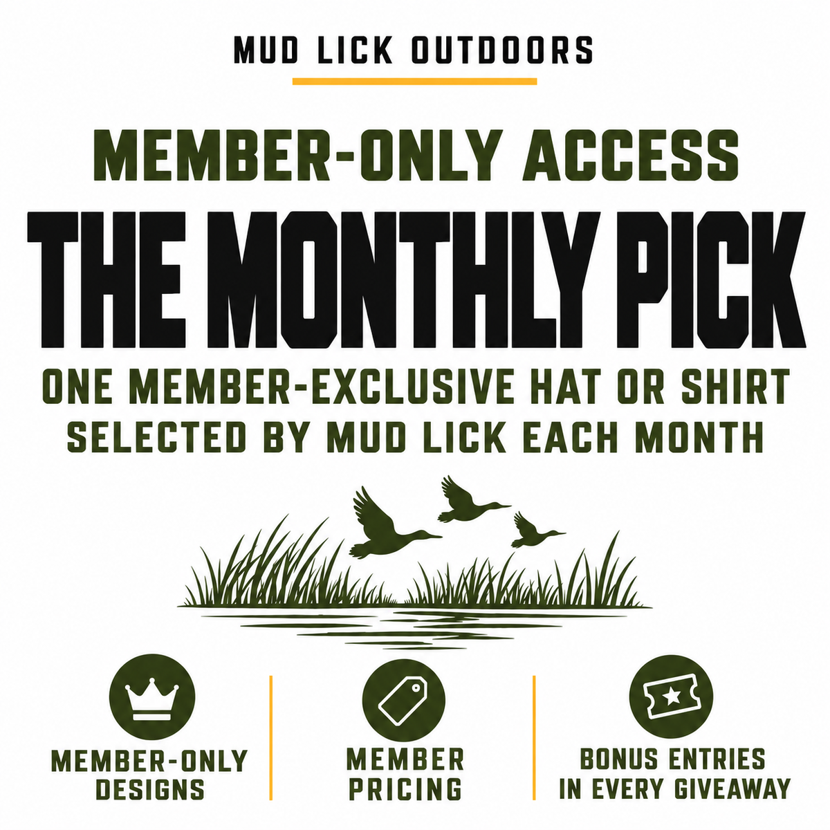 The Monthly Pick